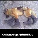 ���� Toni 5, ������� - ��������� 28 ������� 2015 � ������ ������ ��������