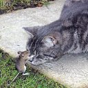 ��� ��� ����������� �� ��� �� ������� ���� ����������