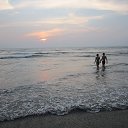 Goa  2014    