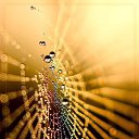 ���� ��������, �����-�������, 35 ��� - ��������� 16 ������ 2015 � ������ ���� ����������