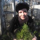 ���� �������, ����-����������� - ��������� 22 ������ 2015 � ������ ���� ����������