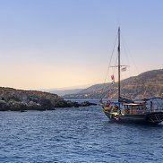 ��������, 49 ���, ���������