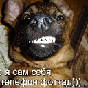 ���� ����, �����, 59 ��� - ��������� 17 ������ 2015 � ������ ������ ��������