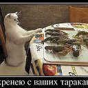 ���� ������, ��������, 70 ��� - ��������� 17 ������� 2015 � ������ ������ ��������