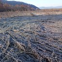 ���� �������, ����������� - ��������� 18 ����� 2015 � ������ ���� ����������