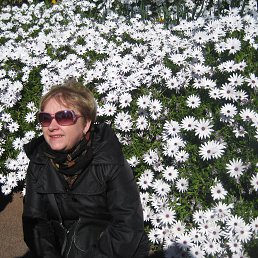 ������. ���� ����� �����. ���������� �����.