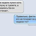 ���� �������, ������, 51 ��� - ��������� 10 ������� 2015 � ������ �������