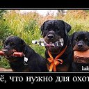 ���� ������, ���������, 52 ���� - ��������� 29 ����� 2015 � ������ ������ ��������