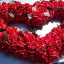 ���� Zoirxon, ����, 40 ��� - ��������� 28 ����� 2015 � ������ ���� ���߻