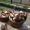 ���� ������� - �� ��������!, �������� - ��������� 19 ������ 2015 � ������ �����������