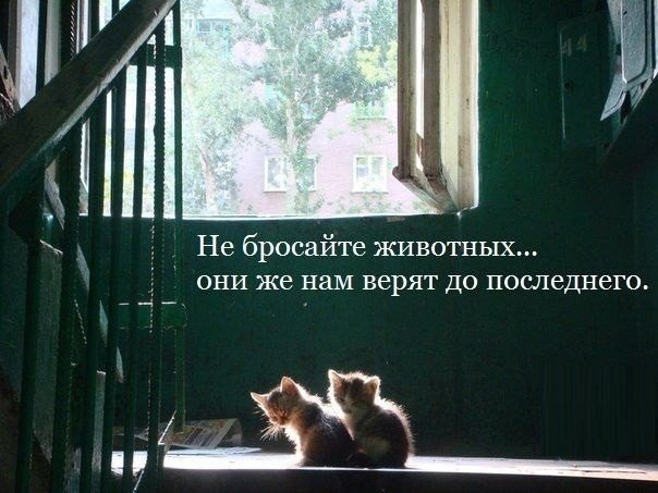 Art & Fun - 19  2015  16:17