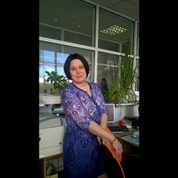 ���������, ���������, 50 ���