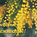  ,  -  11  2015    