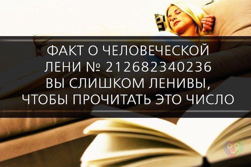   :D - 8  2015  18:02