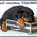  ,  -  1  2015    