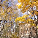 ���� �������, ������� �������� - ��������� 7 ������ 2015 � ������ ���� ����������