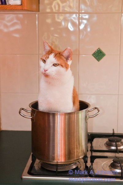    - 3