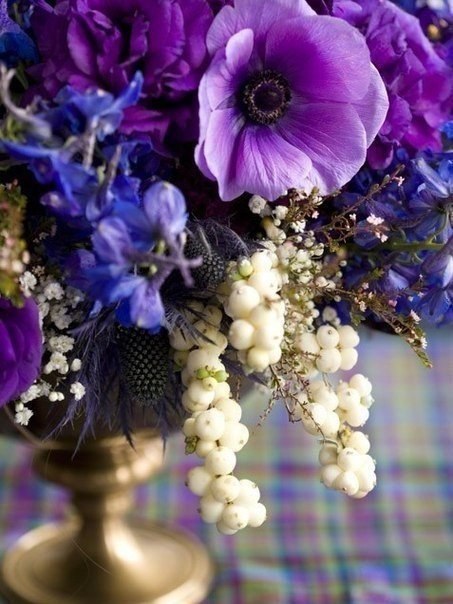   |  |  - 16  2015  09:43 - 2