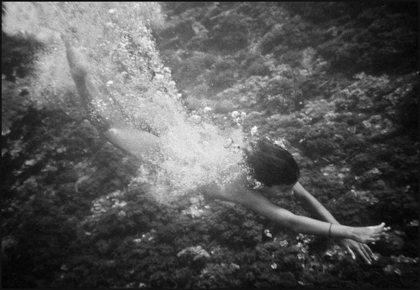 Ferdinando Scianna........."       ,  ... - 8