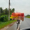 ���� ����, ����������� - ��������� 13 ������ 2015 � ������ ���� �����