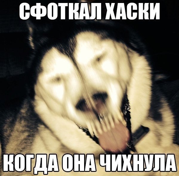  - 13  2015  13:48