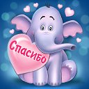 ���� Ksena, �������� - ��������� 29 ����� 2015 � ������ �������� ��������