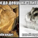  , - -  19  2015    