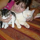  , , 51  -  14  2014    .