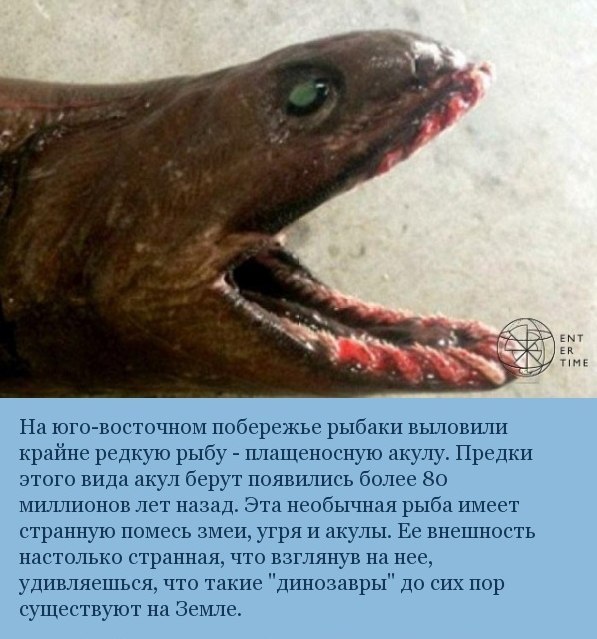     ,    80  