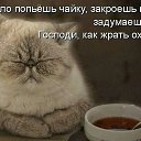 ���� ����, ������������ - ��������� 3 ������ 2015 � ������ ������ ��������