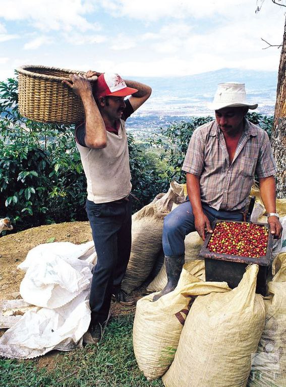 -.  ,        ,  ... - 2