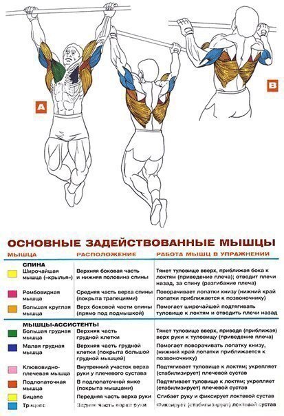  ,   !  ()      - ... - 5