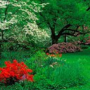 ���� ������, ���� - ��������� 10 ������ 2015 � ������ ������ ��������