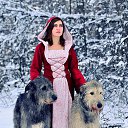   (Paolo Genua),  -  16  2014    