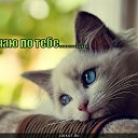 ���� �������, ������ - ��������� 18 ������� 2015 � ������ ������ ��������