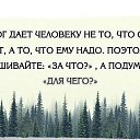 ���� ������, ������������ - ��������� 1 ����� 2015 � ������ ������ ��������