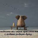  , - -  11  2015    
