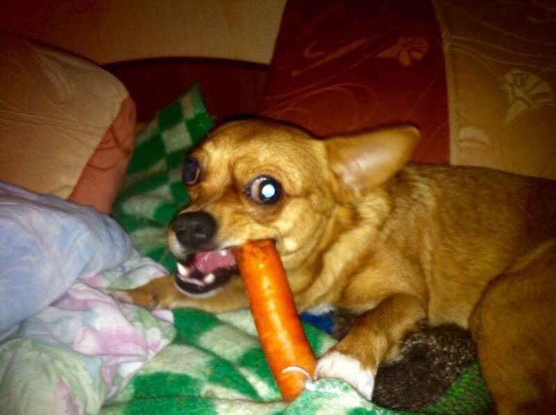 �������� ������ � ������ - 5 ������ 2015 � 20:20