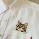 ���� ������, ������ - ��������� 16 ������� 2014