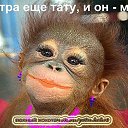 ���� �����, �����������, 64 ���� - ��������� 22 ������ 2015 � ������ ���� ����������
