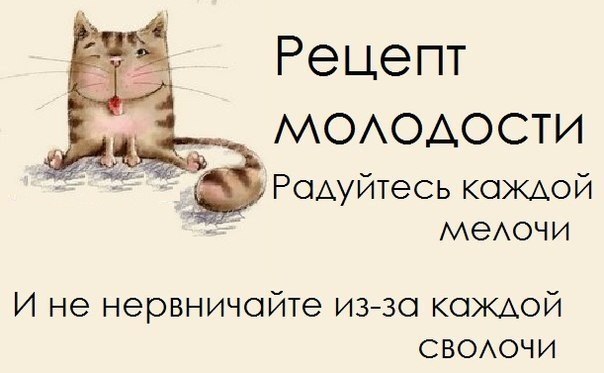 LIFE -  - 11  2015  05:28