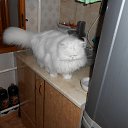 ���� ���� �� ������� ���� ������� � ������ �������ܻ