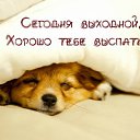 ���� Ksena, �������� - ��������� 29 ����� 2015 � ������ �������� ��������