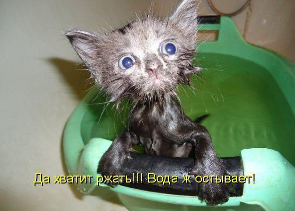 Приглашаю в группу,где море позитива: fotostrana.ru/prikolyzikfun/