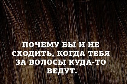  | ,  - 10  2015  14:10