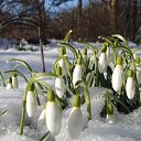 ���� �����, ��������, 51 ��� - ��������� 1 ����� 2015 � ������ ������ ��������