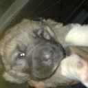 ���� �����, �������� - ��������� 20 ������ 2015 � ������ ���� ����������