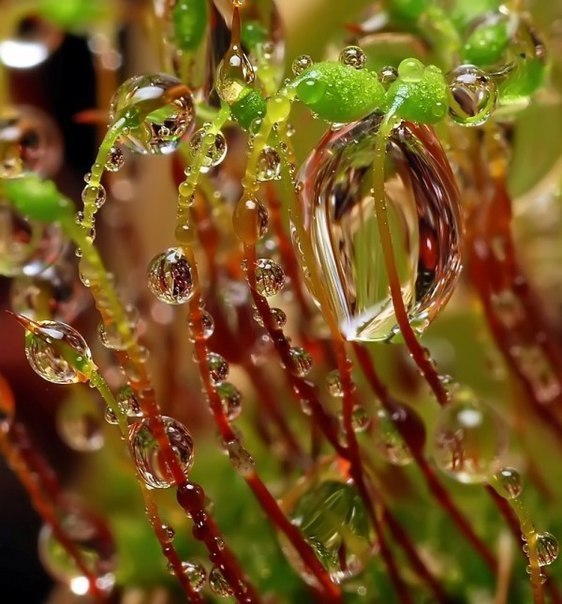 ,      ,        . ... - 6