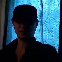 D, �����������, 41 ���