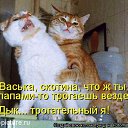  ,  -  13  2015    
